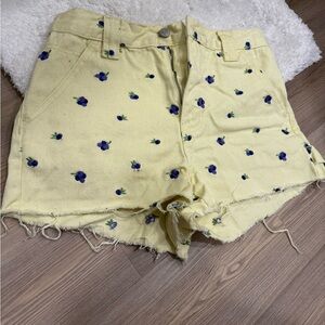 PacSun blueberry print shorts